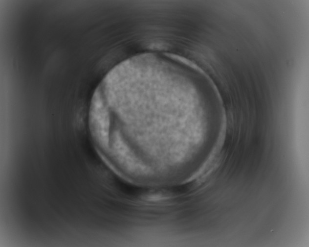 X0000088440175200706191259