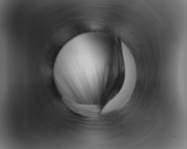 X0000088440176200706191259