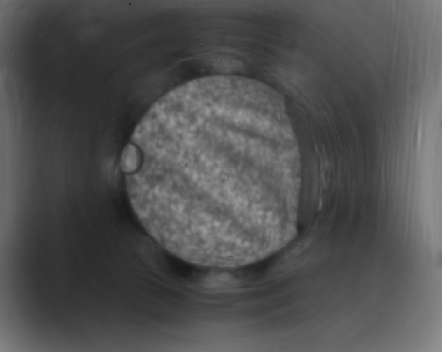 X0000088440177200706191259
