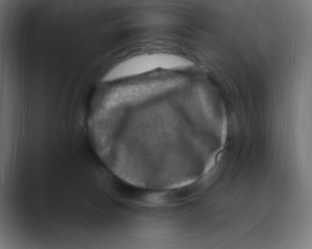 X0000088440178200706191259