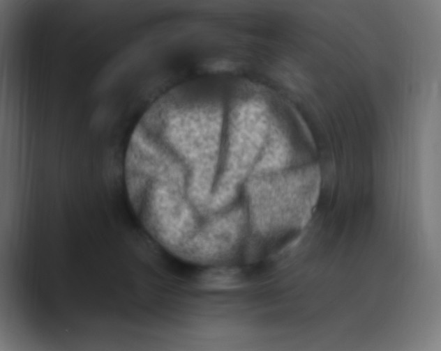 X0000088440179200706191259