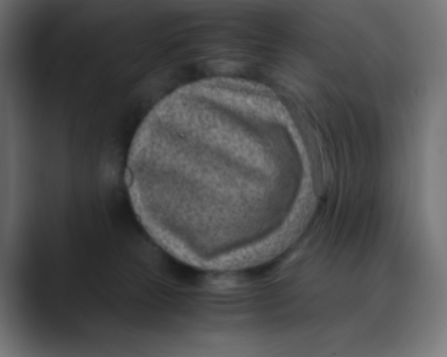 X0000088440181200706191259