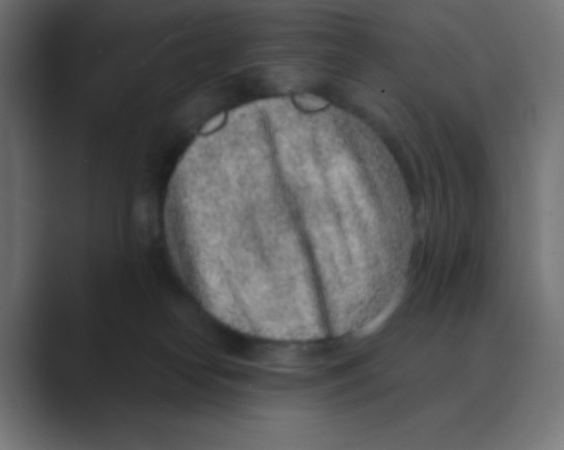 X0000088440182200706191259