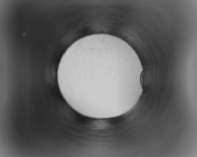 X0000088440183200706191259