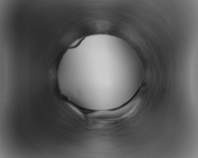 X0000088440184200706191259