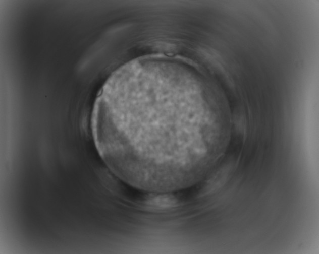 X0000088440185200706191259