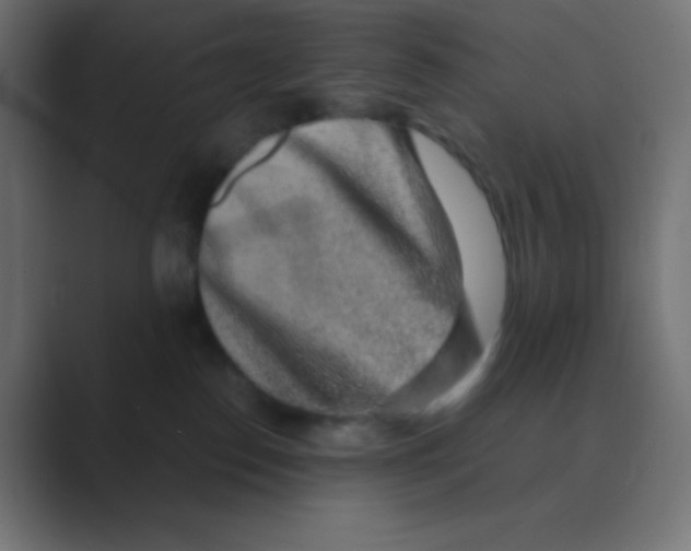 X0000088440186200706191259