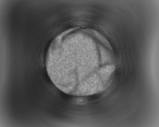 X0000088440187200706191259