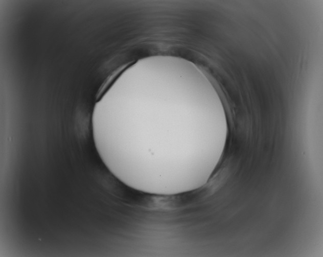 X0000088440188200706191259