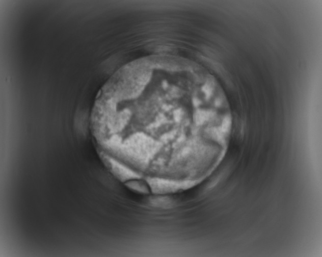 X0000088440189200706191259
