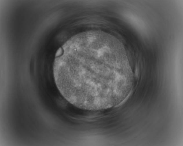 X0000088440191200706191259