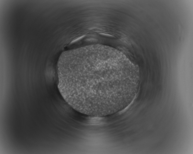 X0000088440192200706191259
