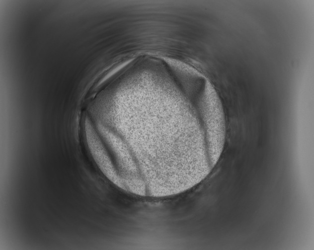 X0000088440194200706191259