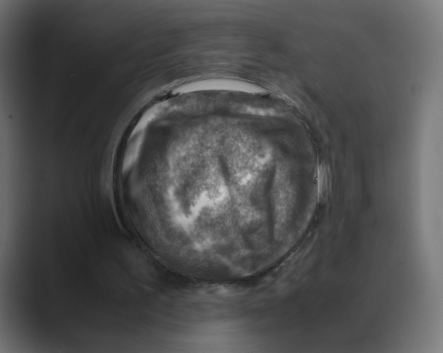 X0000088440195200706191259