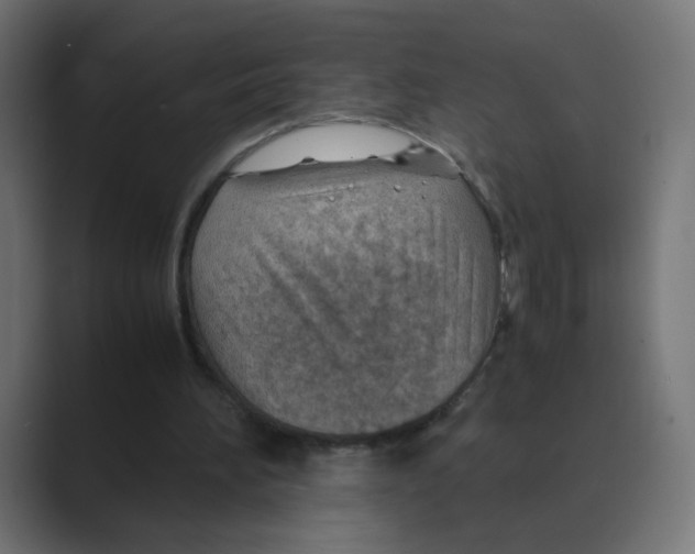 X0000088440196200706191259