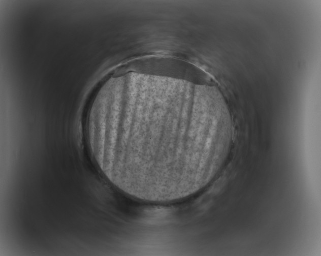 X0000088440198200706191259
