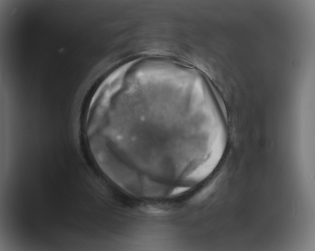 X0000088440199200706191259