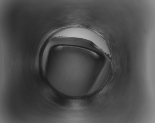 X0000088440200200706191259