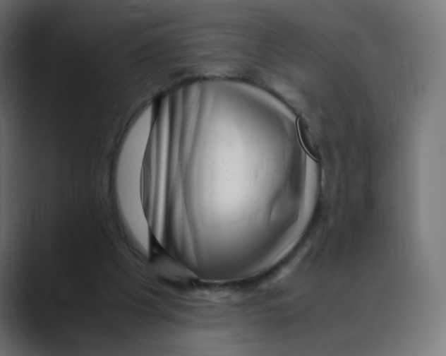 X0000088440201200706191259