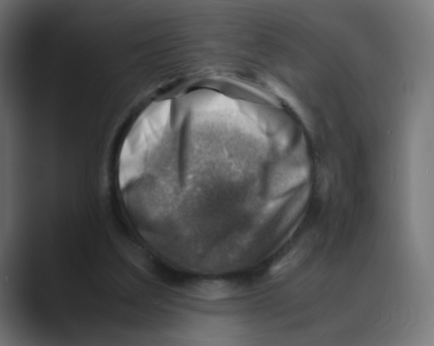 X0000088440203200706191259