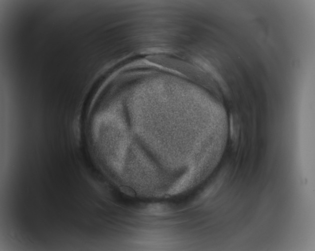 X0000088440204200706191259