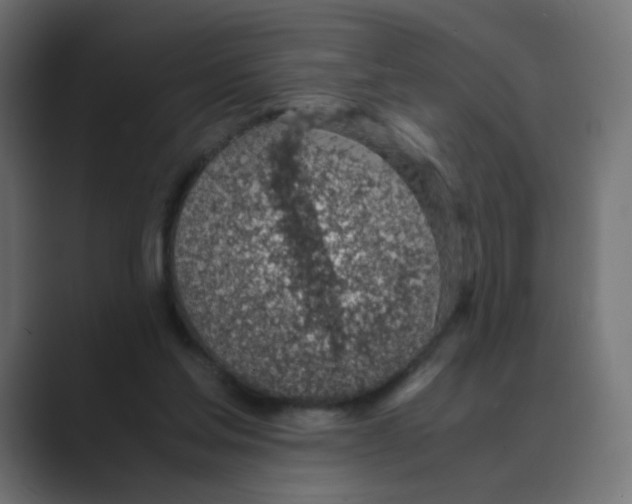 X0000088440205200706191259