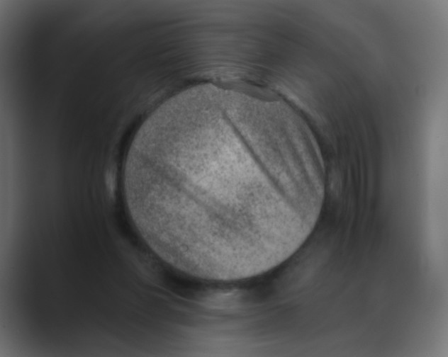 X0000088440206200706191259
