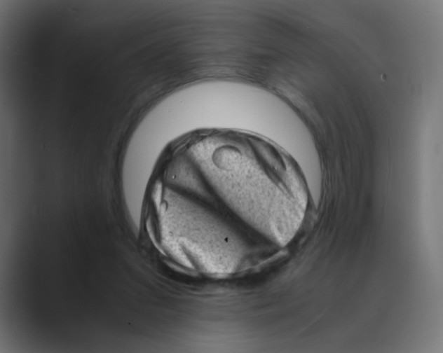 X0000088440207200706191259