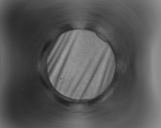 X0000088440209200706191259