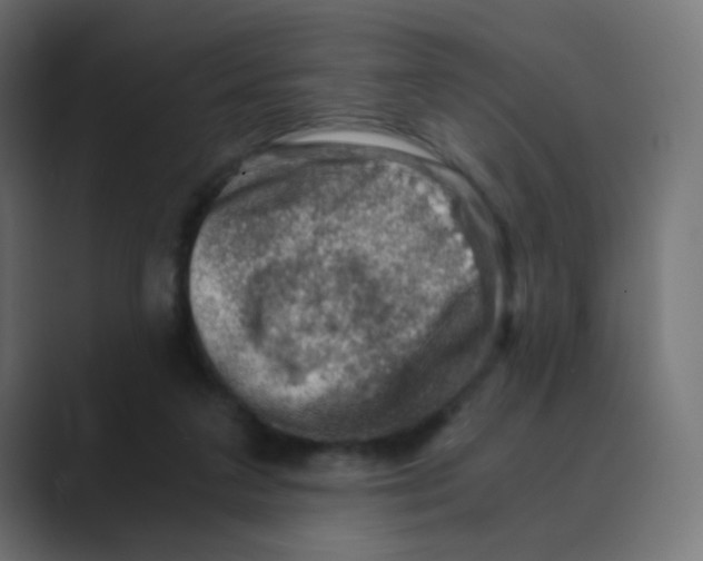 X0000088440211200706191259