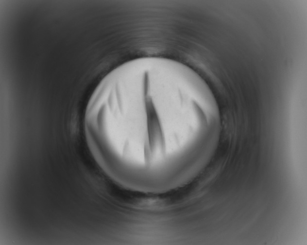 X0000088440212200706191259