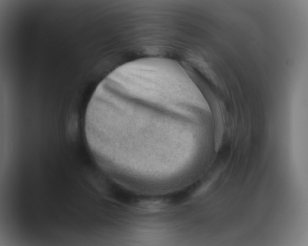 X0000088440213200706191259