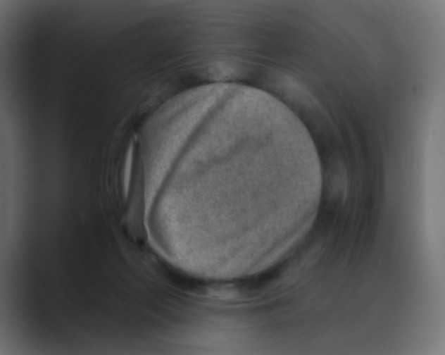 X0000088440214200706191259