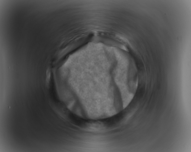 X0000088440215200706191259