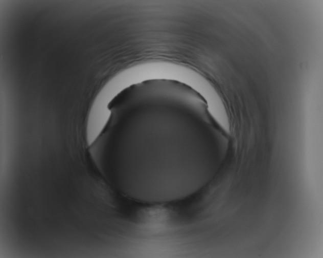 X0000088440219200706191259