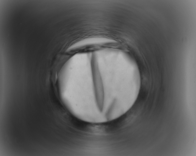 X0000088440221200706191259