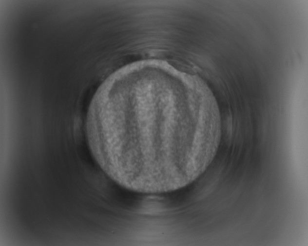 X0000088440222200706191259