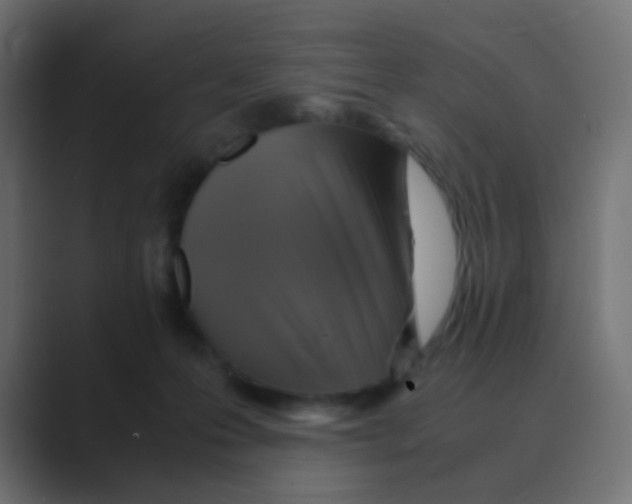 X0000088440223200706191259