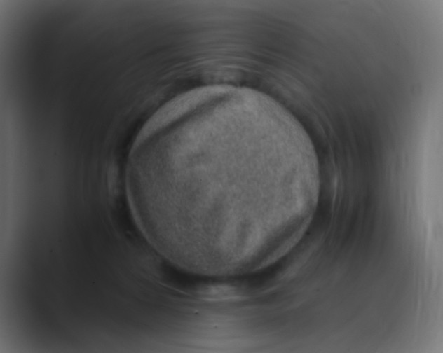 X0000088440224200706191258