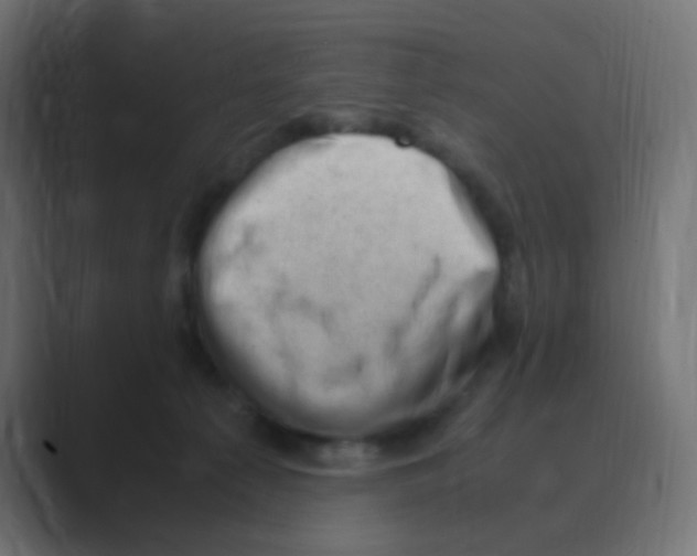 X0000088440225200706191258