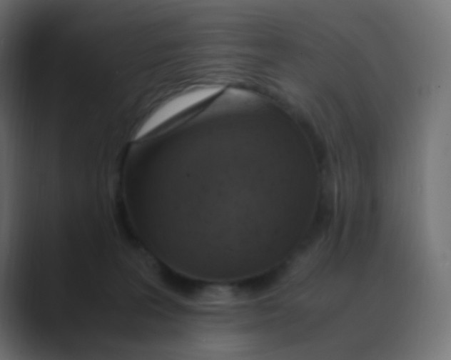 X0000088440227200706191258