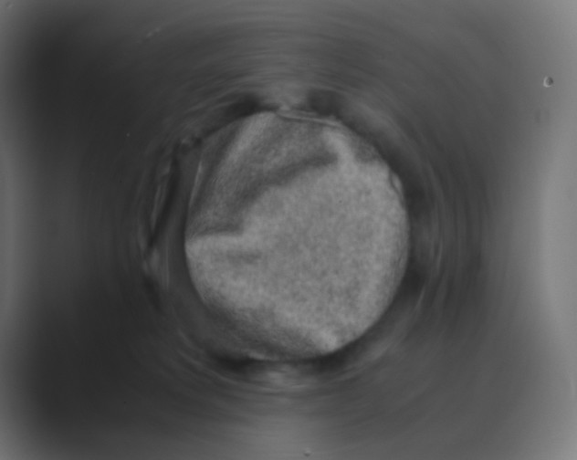 X0000088440229200706191258