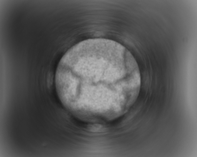 X0000088440230200706191258