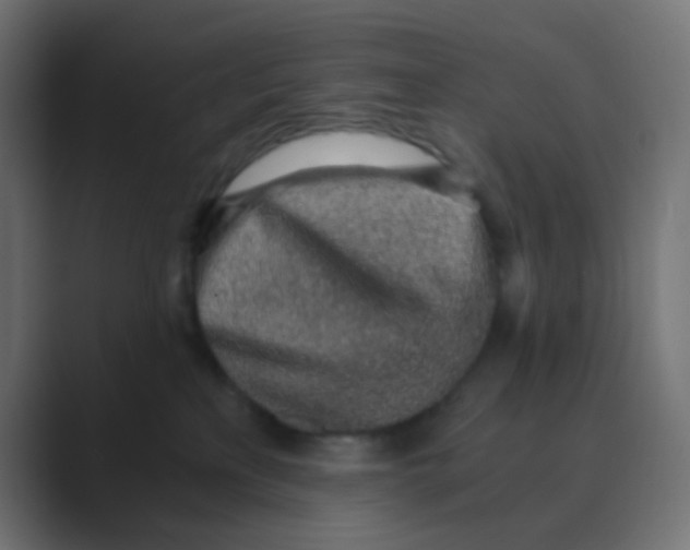 X0000088440233200706191258
