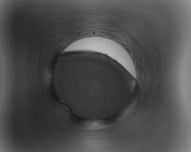 X0000088440235200706191258