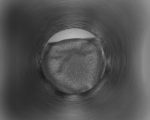X0000088440237200706191258