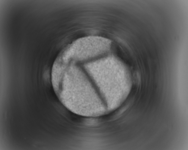 X0000088440238200706191258