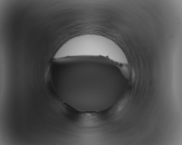 X0000088440239200706191258