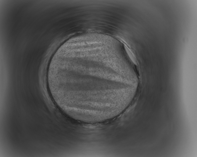 X0000088440241200706191258
