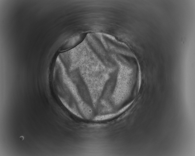 X0000088440242200706191258